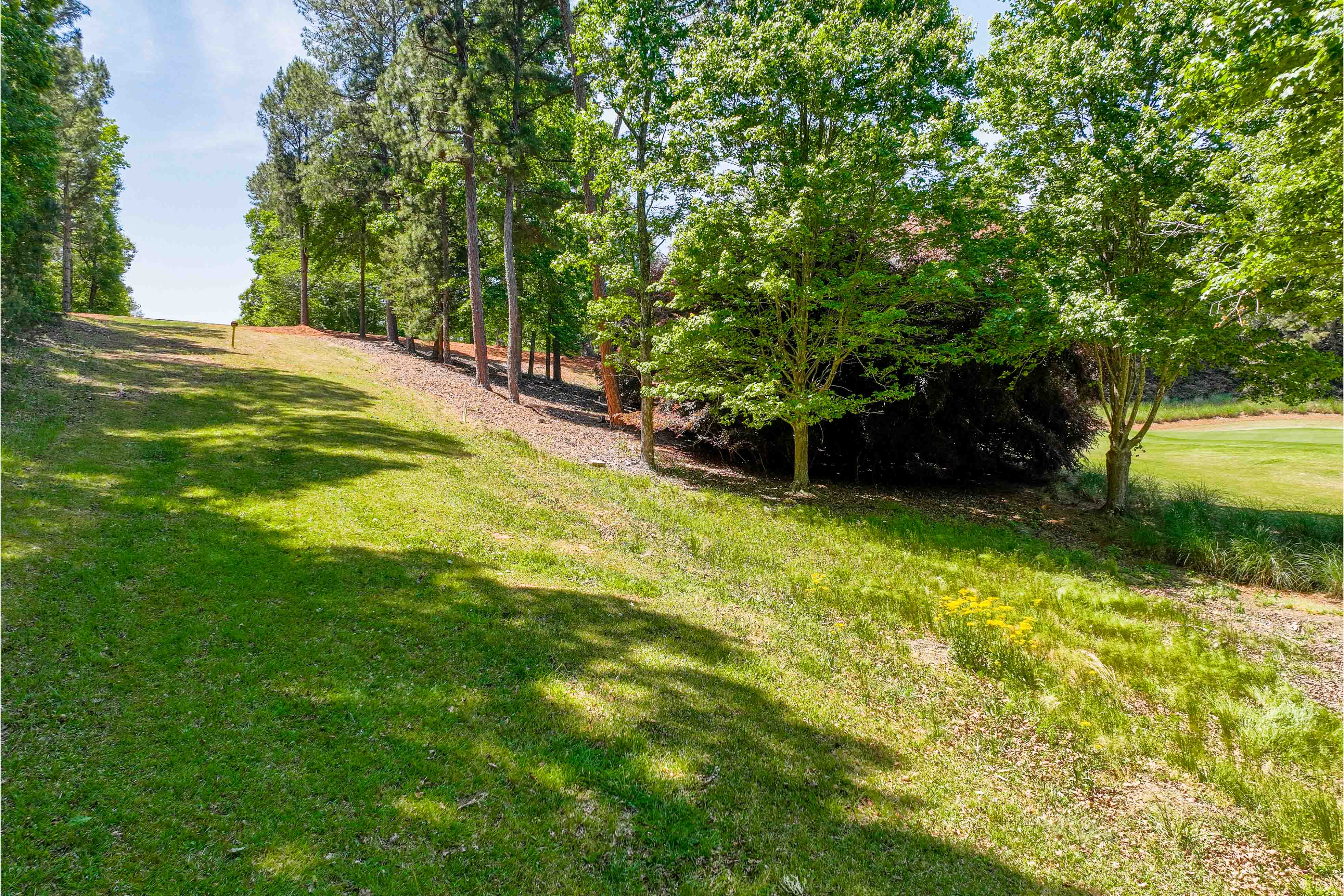 1000 Curtright Place image 10